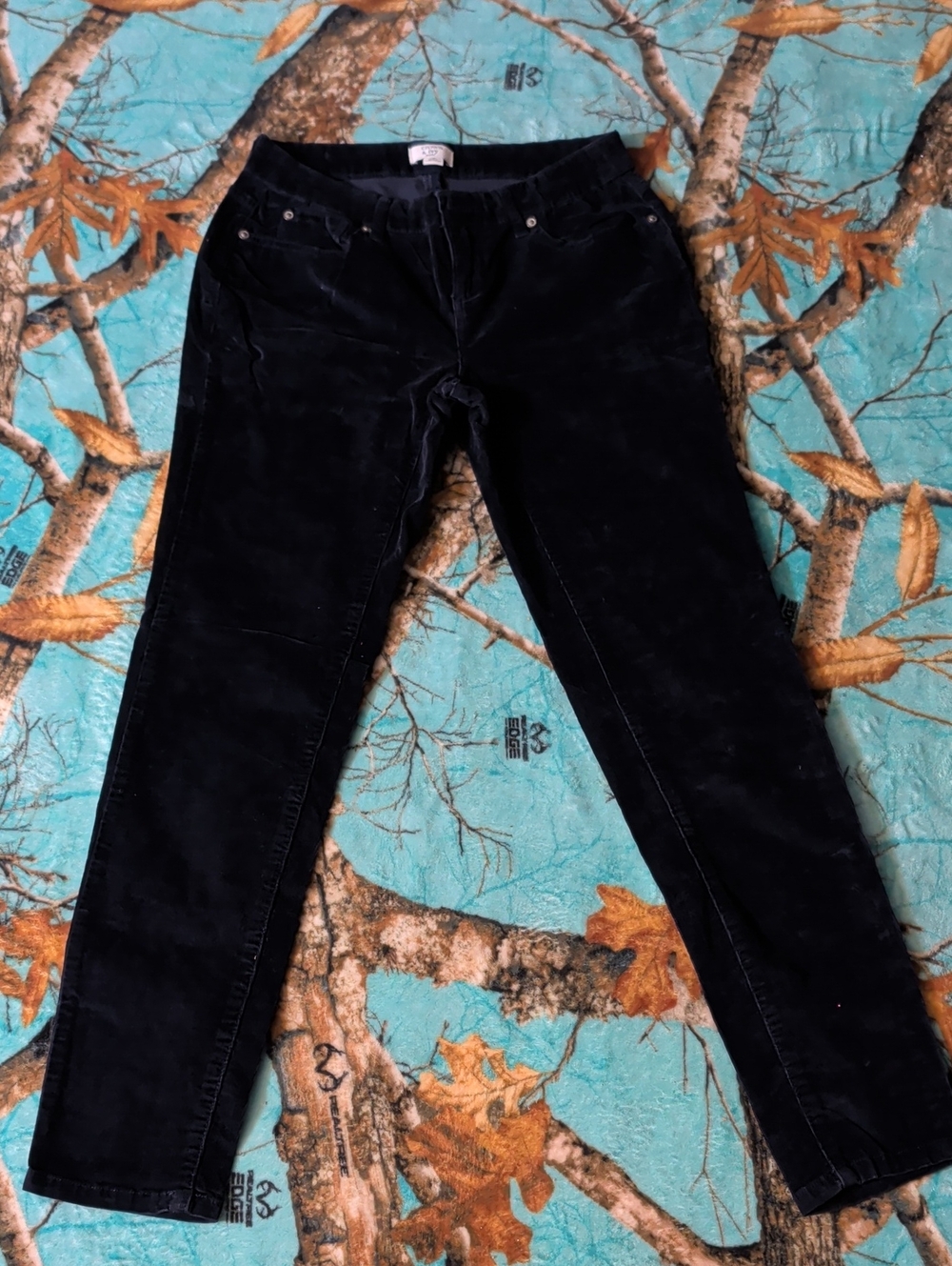 crown & ivy Blue Velvet Skinny Pants